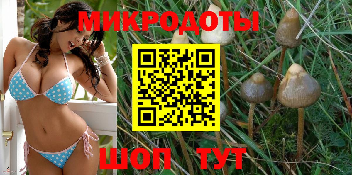 Гулькевичи  Псилоцибиновые грибы Psilocybine cubensis  Галлюциногенные грибы MAGIC MUSHROOMS  Вход с VPN 