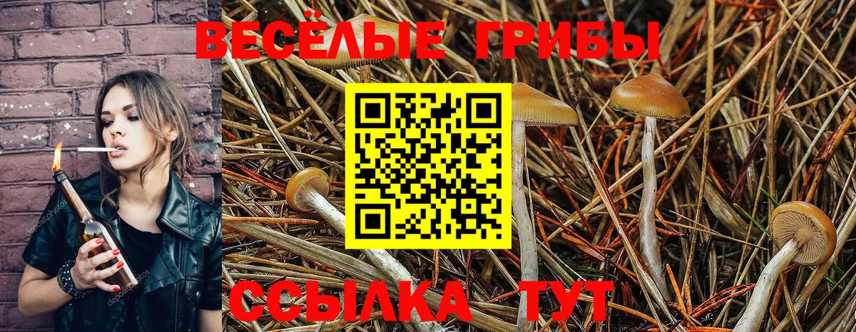 Псилоцибиновые грибы прущие грибы Гулькевичи